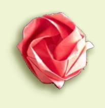 rosa origami