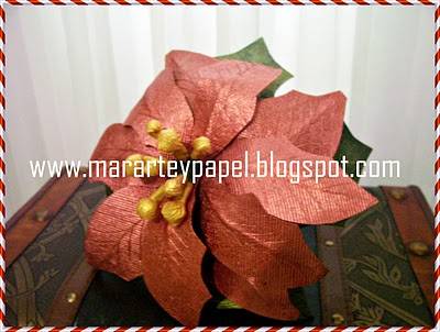 Flor de Nochebuena