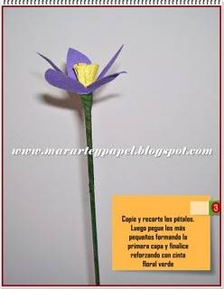 Flores