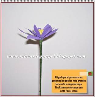Flores
