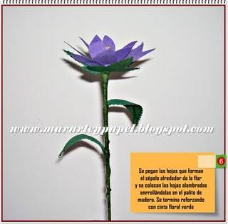Flores