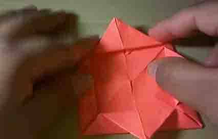 flortricolorc"