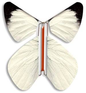 Mariposas voladoras para invitaciones de boda - YouTube