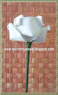 Rosa